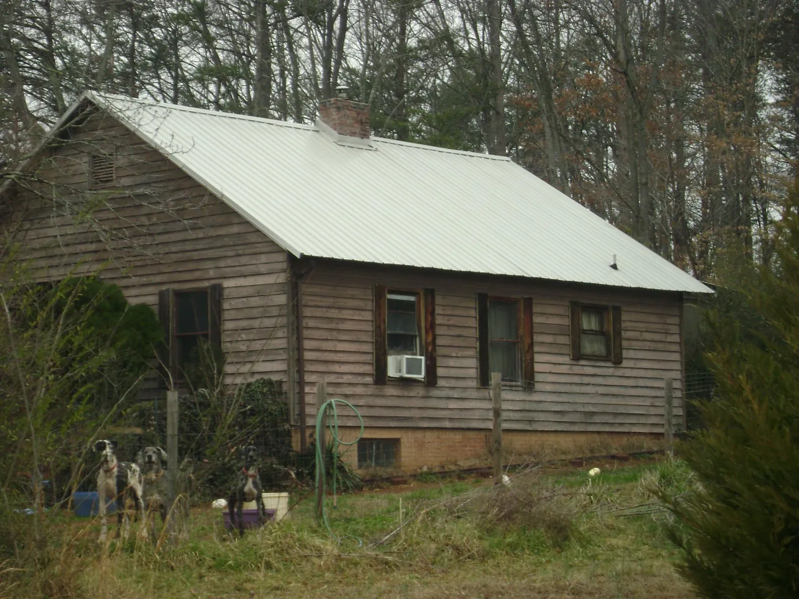 White metal roof on an old wood sided farmhouse, from a Asphalt Shingle Roof Repair job in Grand Junction